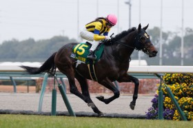 �y�����OJSFR����1�z�Ð�ޕ�R�肪YJS����𐧂�