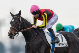 �y�V�n/���R5R�z�啨������v���E�f�B�b�c���f�r���[V