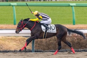 �y�V�n/���R4R�z�S�[���h�h���[���Y�� �S�[���h�u���C�Y���f�r���[V