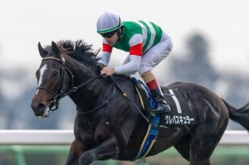 �y�Ђ��炬�܁z�f�R�l�C�N���p�X�L�����[���f�r���[2�A��