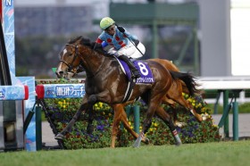 �y�����tFS�zC.�f���[���R�� �J���@�����b�c�H��V�c�T�[�g�D���i�[���A�Y���G1�����e