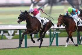 �y�V�n/��_5R�z�ǌ��g���j�e�B�������c��̓k�[���H���R���g