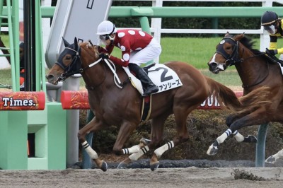 新馬/中山6R】ルヴァンスレーヴ産駒 ファンシーズがデビューV