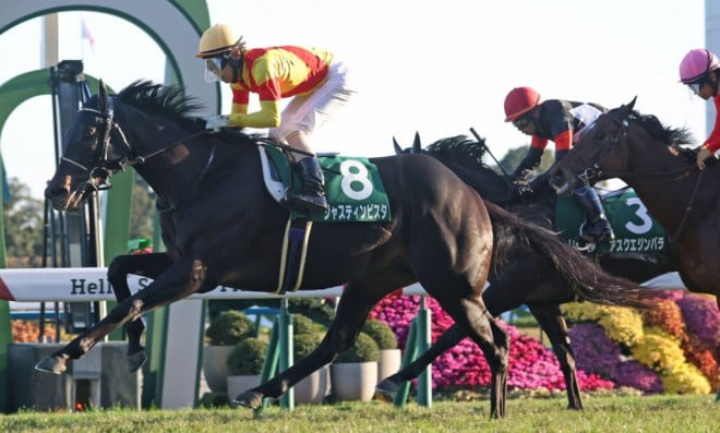 ホープフルS】ジャスティンビスタは516kg…出走馬の調教後の馬体重