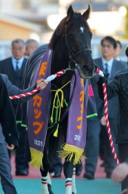 �y��_C�z���K����G1�n�̊ј\��������c�i�����N���A�̘A�e��j�~