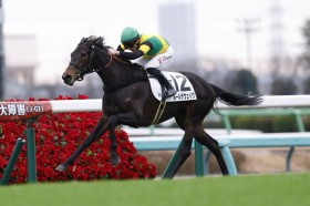 �y�V�n/���R5R�z�}�[�J���h�R�� ���[���U���F�C�����f�r���[V