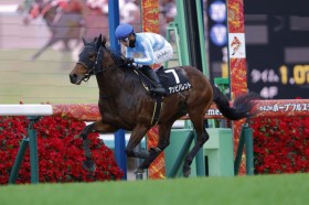 �y�x�X�g�E�B�b�V��C�z3�A�P��318���~���̔g���c�A���r�o�����g��4�n�g��V