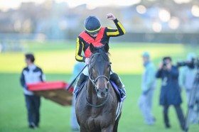 �y�L�n�L�O�z3�Δn�~���[�W�A���}�C����������C�̍����؂�IC.�f���[���̑N�₩�Ȏ�j���΂�