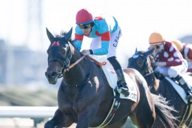 �y�V�n/���R6R�zC.�f���[���R�� �R���W�F�X�^�X���f�r���[V