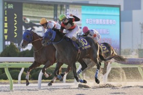 �f�B�N�e�I���������D���c2025 G/Jpn?�O�����h�{�[�i�X�m��