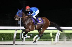 �ˍ�\���̖Y�ꕨ�c�i���J�~�Ƃ̃R���r�ŔO��̓�����ܓTV��