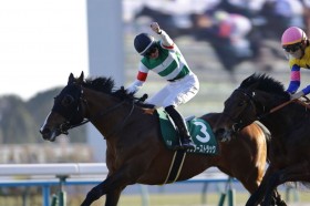 �y�V���U���L�O�z�n�}�[�n���Z���R�� �T���_�[�X�g���b�NV�Ől�n�Ƃ��ɏd�܏����e