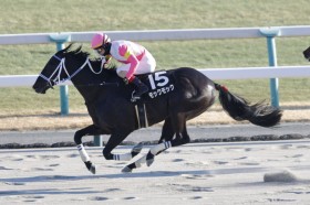 �y��S�z���b�N���b�N�������c�����[���R��͂��̓���3����