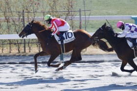 �y�V�n/���s4R�z�O���Y�A�����J���X�^�C���������o��