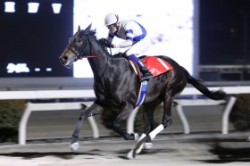 �y���m�E�x���g���b�N�X���ʁz�V�������Q���J�C���N�r�������؂��3�A���A���̏��d�ܐ��e