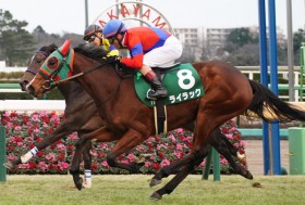 �y���o�V�t�t�o�^�n�z���C���b�N�Ȃ�14��