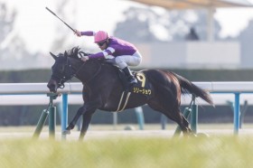 �y�g�~S�z�����[�W������������3�A���c���|�I�ȃX�s�[�h�\�͂ŉ����؂�