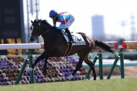 �y�V�n/���R5R�z�V���o�[�X�e�[�g�Y�� �T���v���N�X���f�r���[V