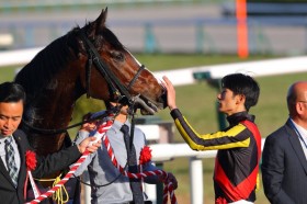 �y���o�V�t�t�z���ځu���ɋ�������4�ΐ���g�b�v���x���̔n�v�Q���`���^�[�����d�܏����e