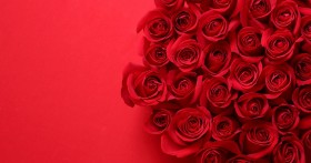 6���l���w�������E�H�[�L���O�X�y�V�����X�g�����u�����������v�̏���