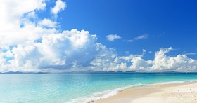 �Ă܂łɐ�΂₹��I�S�[���f���E�B�[�N���Ɂg��������₹��K���h����ɓ�����@