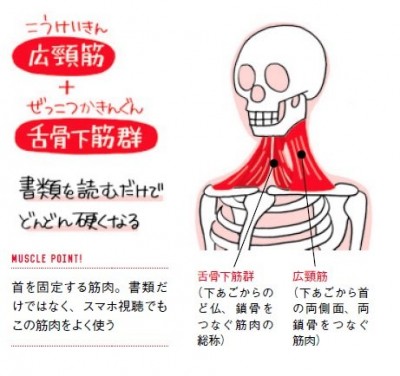 スマホの見すぎで首が疲れた」に効く2大ストレッチ | ORICON NEWS