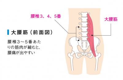 座りっぱなしの人」の人は要注意！「体のゆがみ」を発見する、整体プロ