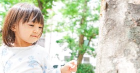 �yGW���^SP�z�݂ǂ�̓��ɊJ�^����l�̓����E�x�X�g1