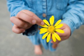 �W���u�Y�A�Q�C�c�A�������͓����u�΂́����v�I���E�ŌẤw�Ռo�x��1���l�̃T���v�����O�ł��Ԃ肾���ꂽ�^��