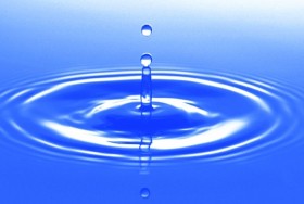 �^�����A�h���b�J�[�A�z���G�����c�c�N�������Ă���Ȃ������u���̈ꔒ�v�̋����ׂ�����