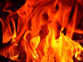 �u0����1�𐶂ޓV�ˁv�W���u�Y�A�F���c�A�C�`���[�c�c�N�������Ă���Ȃ������y�΂̋㎇�z�ق�Ƃ��̐���