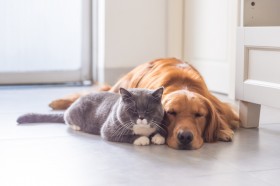 �u�؁��΁��y���������v�ł킩��I���Ȃ��̔\�͂���C�ɍ��߂�ŋ��p�[�g�i�[�̌�����