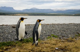 �u�Œ�ň��v����u�B�ꖳ��v�̊֌W�ցI�������������z����g2�̔��h