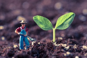 �����n�u�O�Ɂv�u�Z���v�u�㎇�v������c�ɐ�ΌĂԂׂ����R