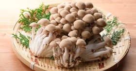 �L�m�R�𐅐􂢂��ׂ��łȂ����R�Ƃ́H���ɗ����Ėʔ����u��؂̘b�v