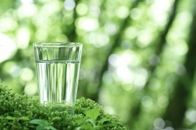 �z���G�����Ȃǁu���̈ꔒ�v�����ɗ^����ꂽ�g���^�ւ�9�̎���h���ɂ́u�x�X�g3�v�͂��ꂾ�I