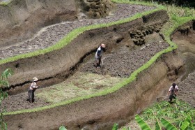 ���֖��G�Ȃǁu��n�̓񍕁v�����ɗ^����ꂽ�g���^�ւ�9�̎���h���ɂ̃x�X�g3�͂��ꂾ�I