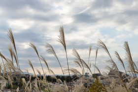 ����A���R�P���C�`�Ȃǁu�V�̘Z���v�����ɗ^����ꂽ �g���^�ւ�9�̎���h�͂��ꂾ�I