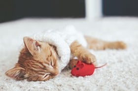 �w9code�i�i�C���R�[�h�j�肢�x�ő����̂Ȃ����E���I