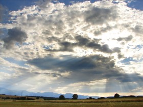 ���񗦂��݂�݂�A�b�v�����u�܍s�̖@���v���p�@