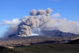 �����I���I�u�H���I��̃��_���l���v�Ɓu�ΎR�̐��E�I���΁v�I�Ȃ��A�i�C���R�[�h��2018�N�́u�����\���v���ł����̂� 