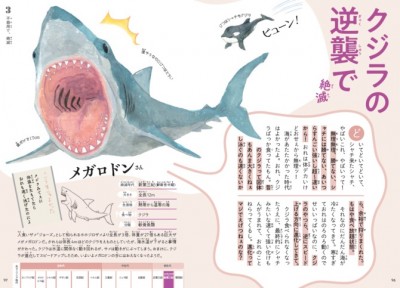 かわいいディズニー画像 50 かっこいい リアル ジョーズ サメ イラスト