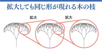 自然の中にある 美しい数学 の世界 シダの葉 雪の結晶 Oricon News