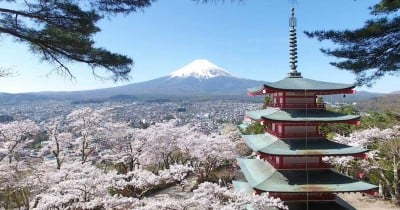 日本の絶景、満開の桜と五重塔と富士山 | ORICON NEWS