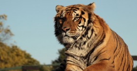 �u���K�b�c�v�͌܉��̕s���̐��_���琶�܂ꂽ!?��_���ē𗝑z�̏�iNo.1�ɓ������܉��Ȃ�ł͂́g�u���Ȃ����_�h