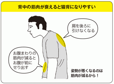 Tbs 金スマ 出演で大反響となった中野ジェームズ修一が教える あなたが猫背になる原因とは Oricon News