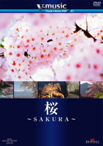 �f���Ɖ��y���g�V�R���{�h�Ŋy���ށI�H