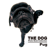 wTHE DOG Photo Book Collection Pugx 
