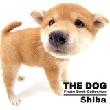 wTHE DOG Photo Book Collection Shibax 