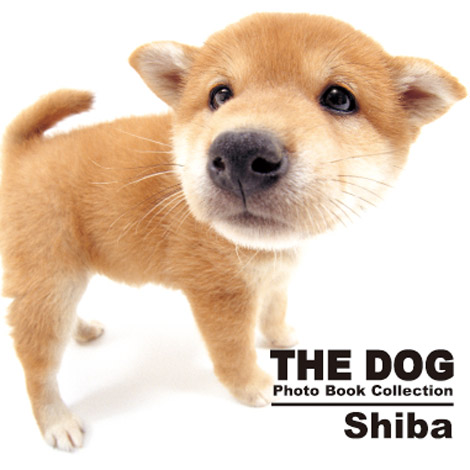 wTHE DOG Photo Book Collection@Shibax@